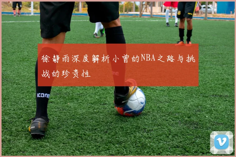 徐静雨深度解析小曾的NBA之路与挑战的珍贵性