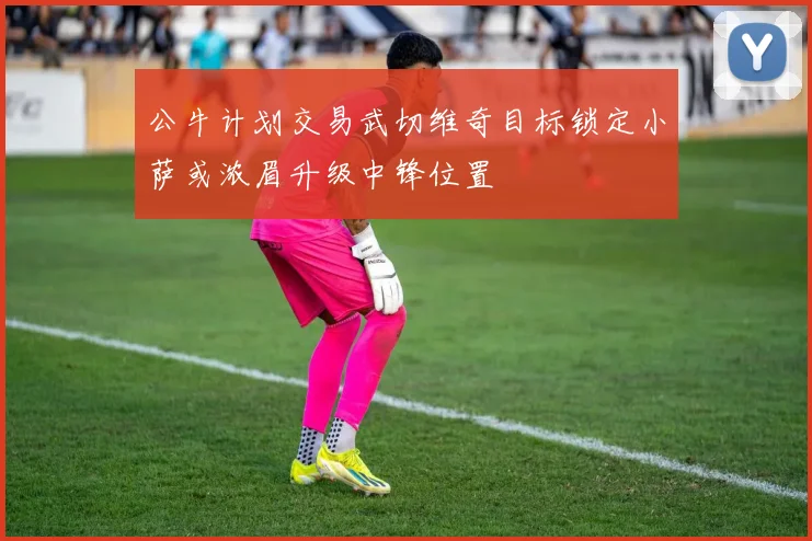 公牛计划交易武切维奇目标锁定小萨或浓眉升级中锋位置