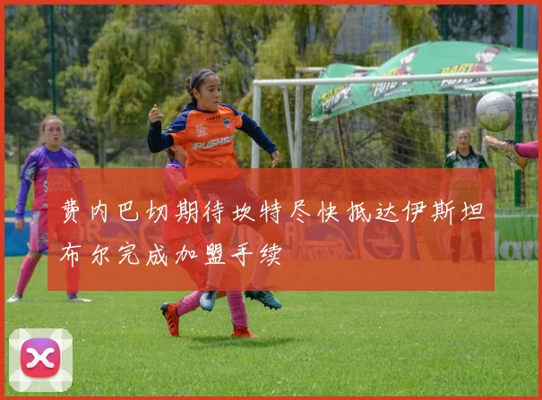 费内巴切期待坎特尽快抵达伊斯坦布尔完成加盟手续