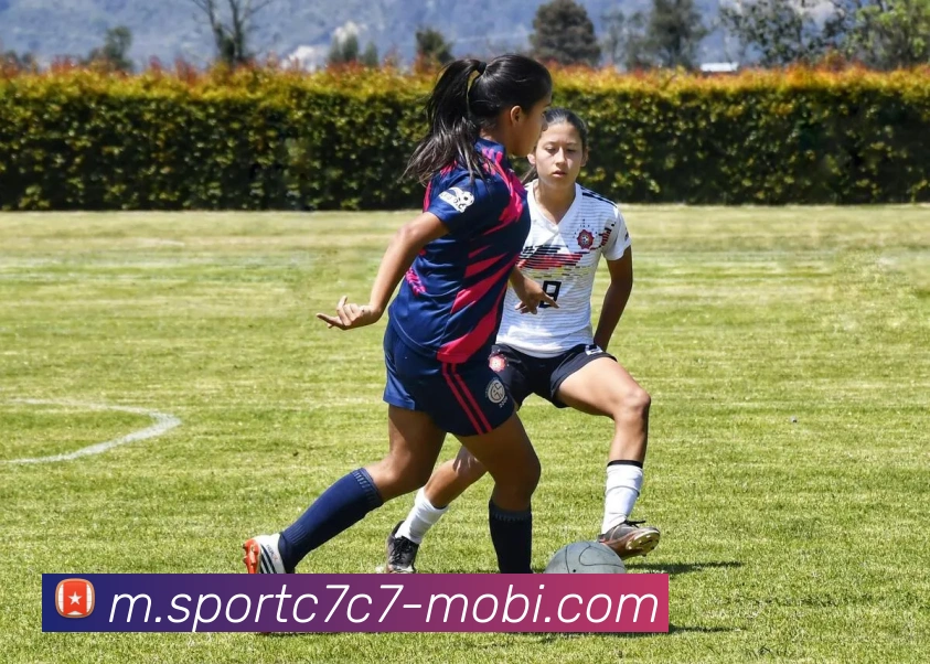 C7C7娱乐APP 封面图